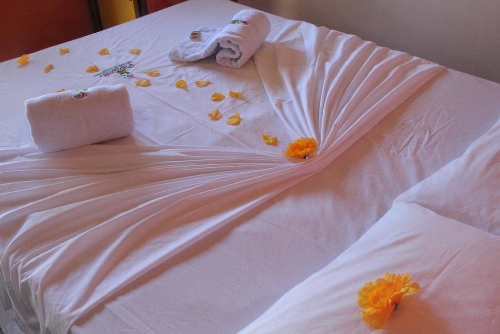 Papagaio Hostel & Pousada มอร์โฮเจอเซาเปาลู ห้อง รูปภาพ